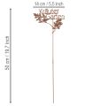 Gartenstecker Rost Kräuter Garten Beetstecker 14x17cm 4St | Floristik24.de