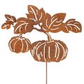 Floristik24 Gartenstecker Kürbis Motiv Metall Dekoration Rost 100cm