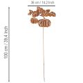 Gartenstecker Kürbis Motiv Metall Dekoration Rost 100cm | Floristik24.de