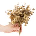 Kunstpflanze Eukalyptus Goldfarbener Deko Zweig für Tischdeko 24cm | Floristik24.de