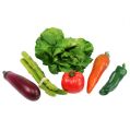 Floristik24 Gemüse Sortiment im Netz