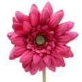 Floristik24 Gerbera Pink 48cm 12St