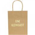 Floristik24 Geschenktüten Natur „Eine Kleinigkeit“ Papier 20×11×25cm 6St