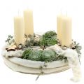 Floristik24 Weihnacht Holzsterne Mix Natur 2,5cm - 7,5cm 40St