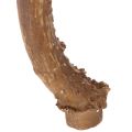 Künstliches Geweih naturgetreu