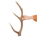 Deko-Geweih künstlich rustikal Hüttendeko 50cm | Floristik24.de