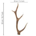 Deko-Geweih künstlich rustikal Hüttendeko 50cm | Floristik24.de