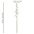 Künstliche Gladiole Langer Stiel für Vasen 88cm | Floristik24.de