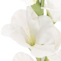 Künstliche Gladiole Langer Stiel für Vasen 88cm | Floristik24.de