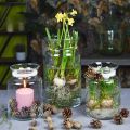 Glas Blumenvase breit klar Ø12cm H20cm | Floristik24.de