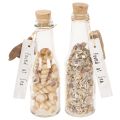 Floristik24 Glasflasche Deko mit Muscheln und Anhänger maritime Tischdeko 17cm 2St