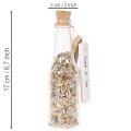 Glasflasche Deko mit Muscheln und Anhänger maritime Tischdeko 17cm 2St | Floristik24.de