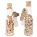 Glasflasche Deko mit Muscheln