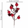 Kunstzweig Granatapfel mit verzweigten Stielen als Vasenschmuck 19cm 4St | Floristik24.de