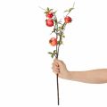 Granatapfelzweig künstlich als Fruchtzweig für die Tischdekoration 68cm | Floristik24.de