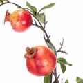 Granatapfelzweig künstlich als Fruchtzweig für die Tischdekoration 68cm | Floristik24.de