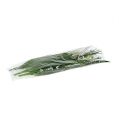 Floristik24 Grasbusch mit Blüten Grün, Weiß 3St