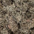 Dekomoos Graumoos für Bastelarbeiten 500g | Floristik24.de