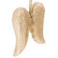 Floristik24 Holz Anhänger Engelsflügel zum Aufhängen Dekoration 12cm
