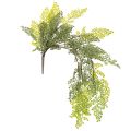 Floristik24 Künstlicher Farnzweig filigran für Vase 80cm