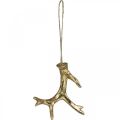 Floristik24 Weihnachtsanhänger Deko Geweih Baumschmuck Gold 7,5cm 6St