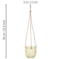 Hängetopf Glas Deko Glastopf Retro Grün Braun 14,5cm 2St | Floristik24.de