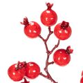 Künstlicher Hagebuttenzweig mit glänzenden Beeren 62cm | Floristik24.de