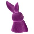 Hase Denkend Beflockt