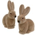 Floristik24 Hase beflockt Braun 15,5cm 4St