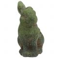 Floristik24 Gartenfigur Hase bemoost 20cm x 13cm H25cm