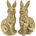 Floristik24 Deko Hase Gold sitzend, Hase zum Dekorieren, Osterhasenpaar, H16,5cm 2St