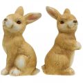 Floristik24 Hase sitzend, Keramikdeko, Ostern, Hasenpaar Braun H15cm 2er-Set