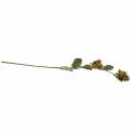 Haselnusszweig Grün/Braun 84cm | Floristik24.de