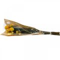 Floristik24 Strohblume Gelb getrocknet Trockenblumen Deko Bund 75g