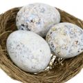 Floristik24 Eier Sortiment Gans, Huhn und Wachtel 3,5cm – 8cm 12St