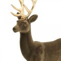 Deko Hirsch Dekofigur Deko-Rentier Beflockt Braun H46cm | Floristik24.de