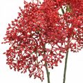 Floristik24 Holunder Rot Kunstblumen für Herbststrauß 52cm 6St