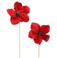 Floristik24 Holzblüte als Stecker Rot Ø9cm - 12cm L45cm 15St