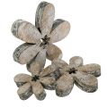 Floristik24 Holzblumen 3-5cm Natur-Weiß 22St