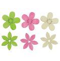 Floristik24 Holzblumen 4cm Pastell sort. 72St