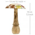 Floristik24 Holzpilz Deko Herbstlaub Weiß, Bunt Herbstdeko Ø13cm H19cm