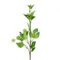 Hopfenzweig 70cm Grün 2St Künstliche Pflanze wie echt !