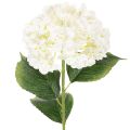 Floristik24 Hortensie künstlich Langstielige Kunstblume 60cm