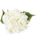 Hortensie künstlich Langstielige Kunstblume 60cm | Floristik24.de
