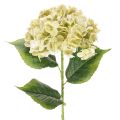 Floristik24 Künstliche Hortensie Blume mit langem Stiel und Blättern 60cm