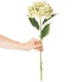 Künstliche Hortensie Blume mit langem Stiel und Blättern 60cm | Floristik24.de