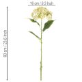 Künstliche Hortensie Blume mit langem Stiel und Blättern 60cm | Floristik24.de