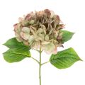 Floristik24 Hortensie künstlich Deko Blume mit Stiel 46cm