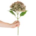 Hortensie künstlich Deko Blume mit Stiel 46cm | Floristik24.de
