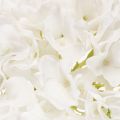 Kunstblume Hortensie  mit langem Stiel für Dekoration 48cm | Floristik24.de